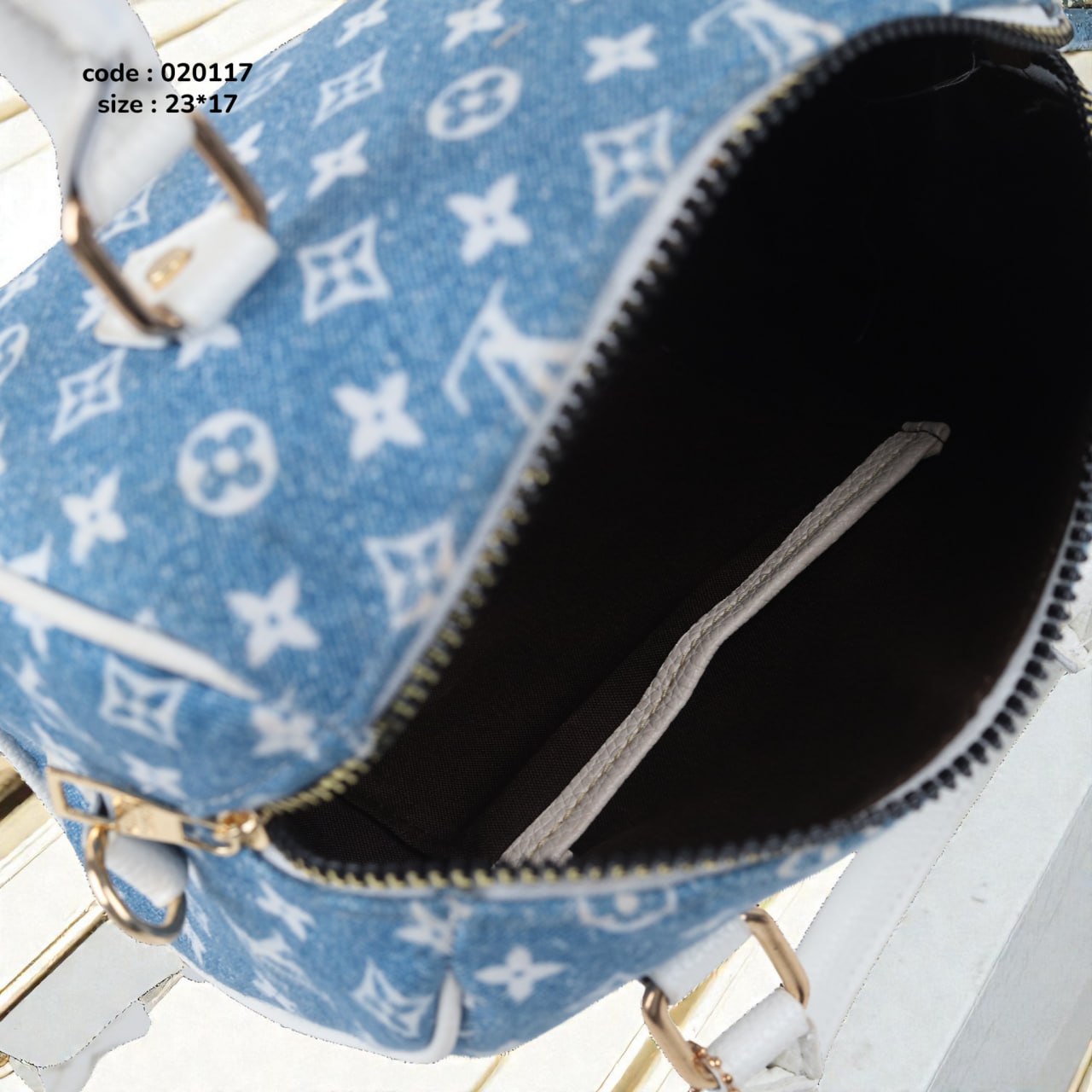 handbag LV